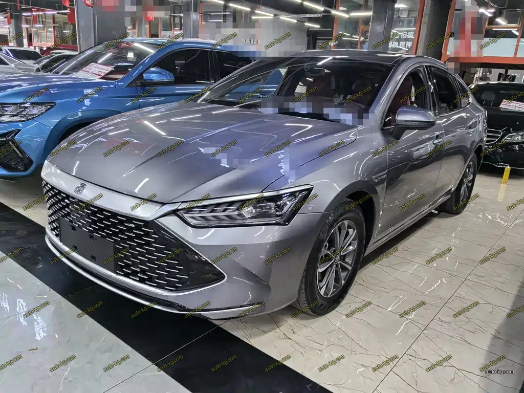 BYD Qin PLUS 2024