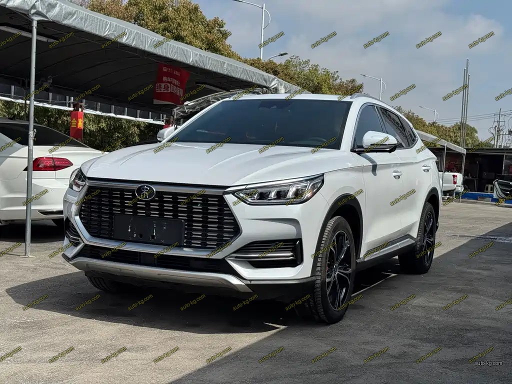 BYD PLUS 2021