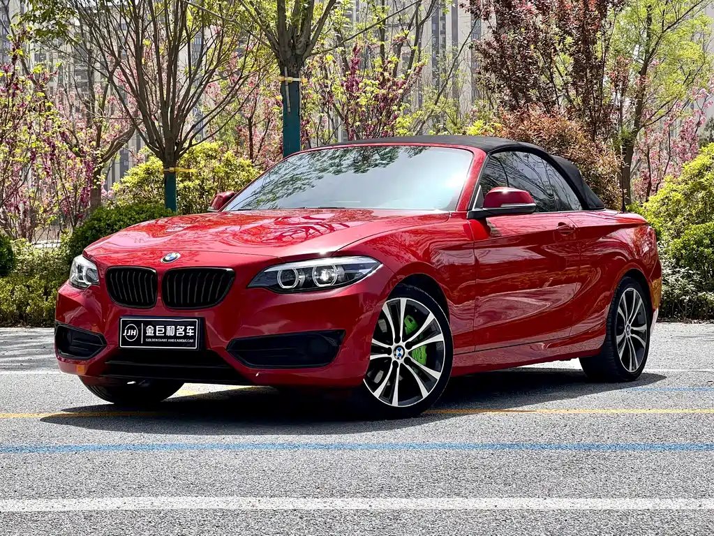 BMW 2 Series (Import) 2021 — фото 1 из 18