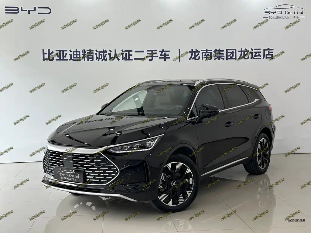 BYD Tang New Energy 2024