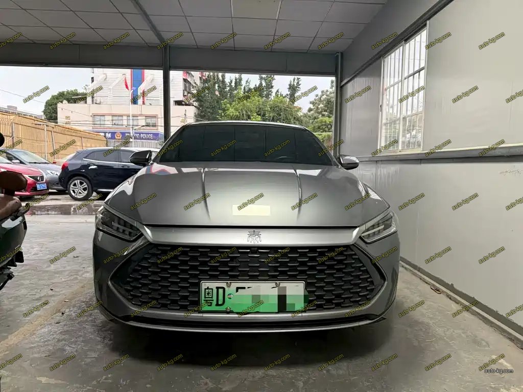 BYD Qin PLUS 2024