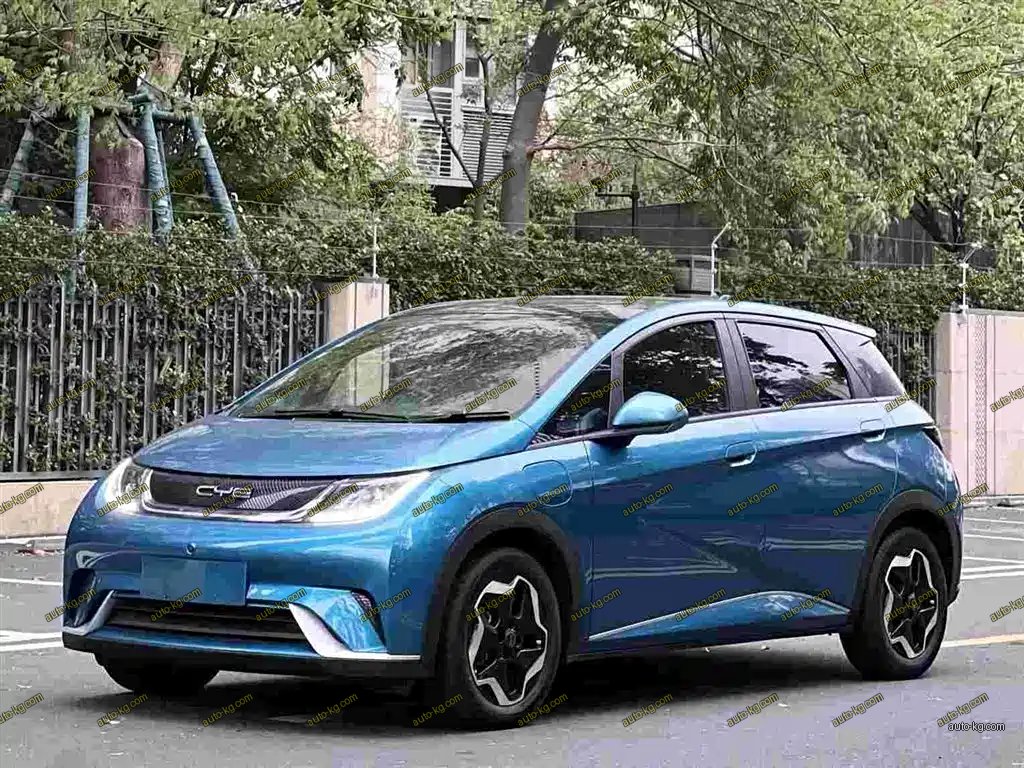 BYD Dolphin 2022