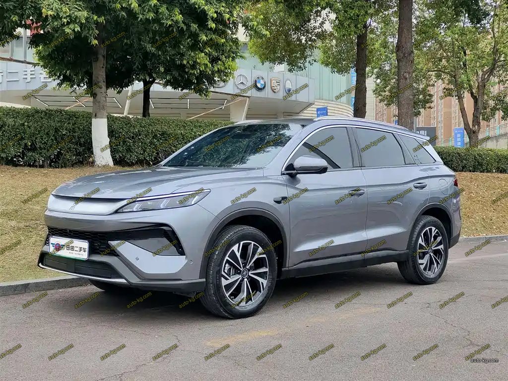 BYD Pro New Energy 2025