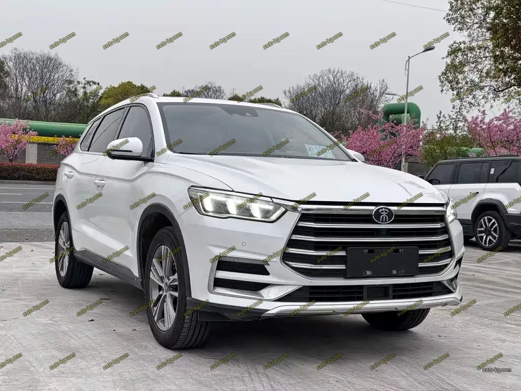 BYD Pro 2020