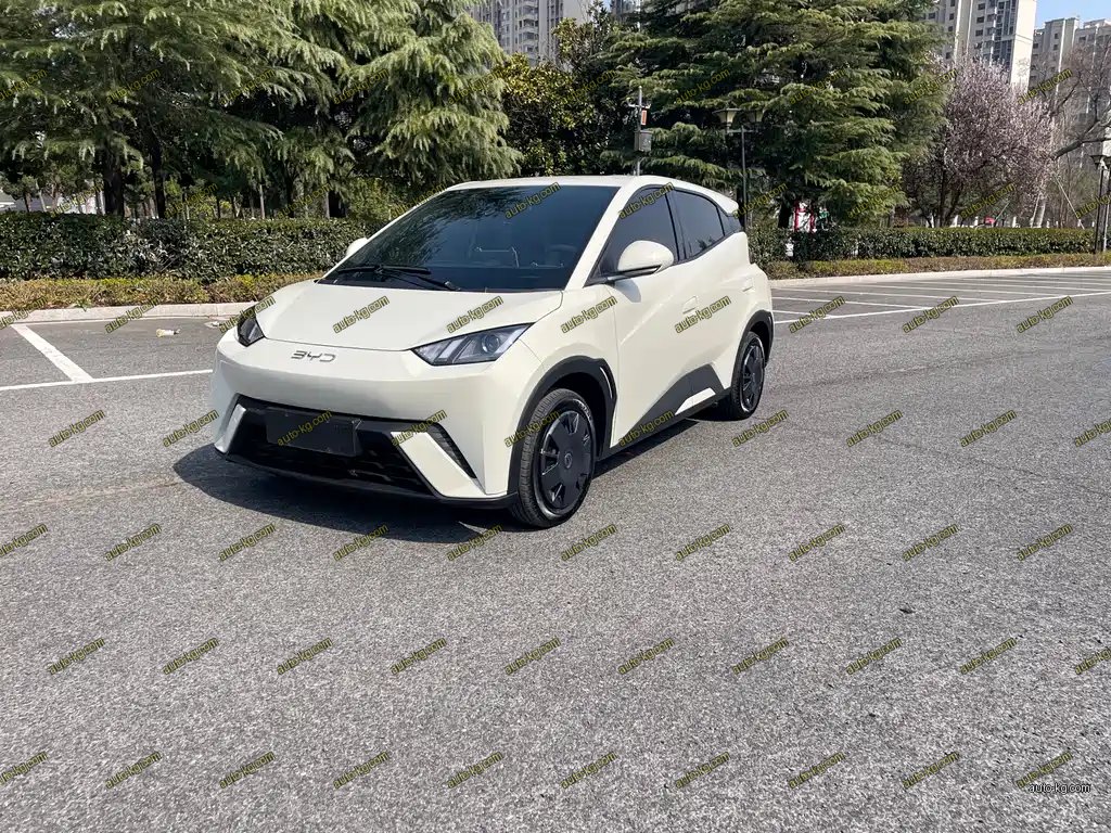 BYD Seagull 2025
