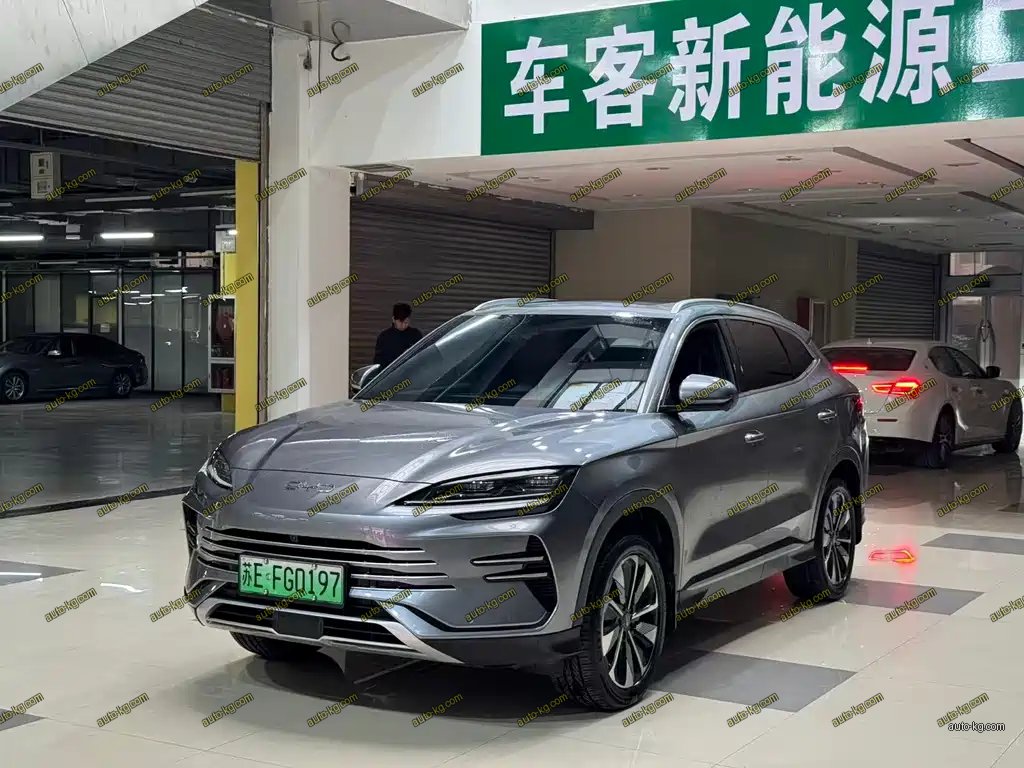 BYD PLUS New Energy 2024