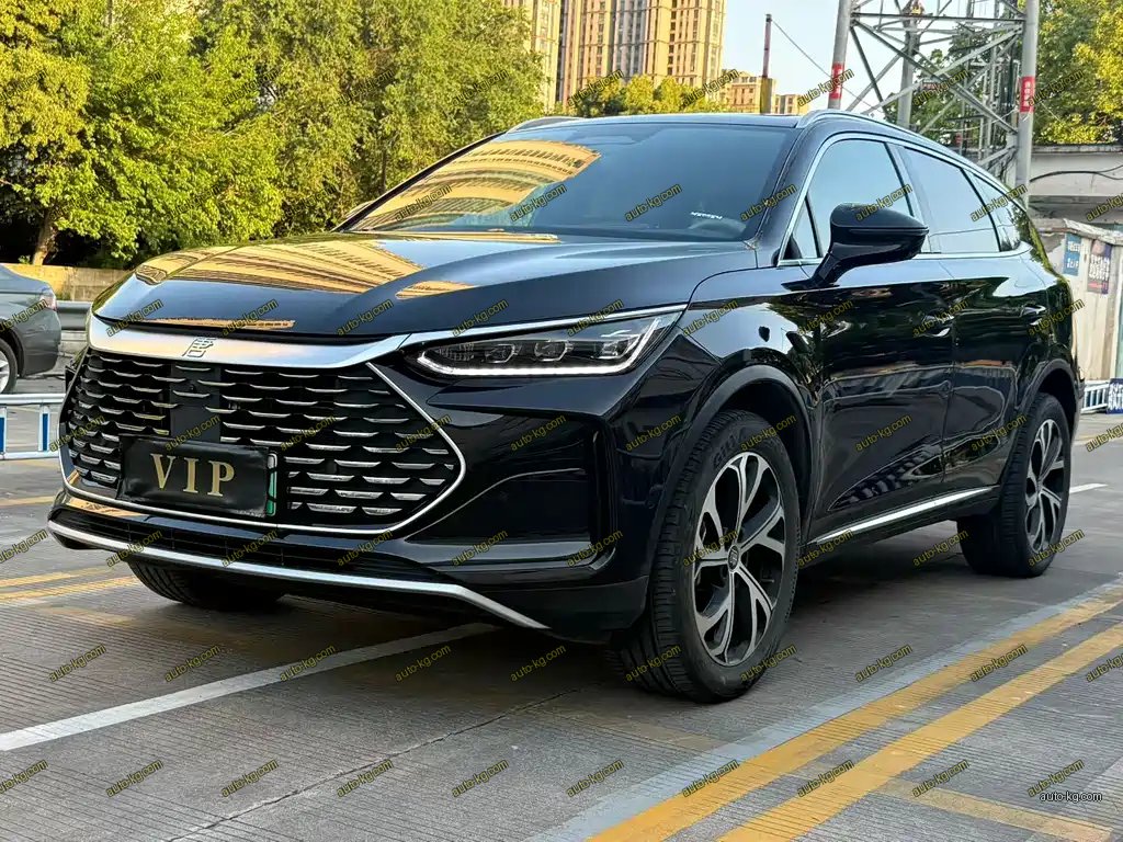 BYD Tang New Energy 2025