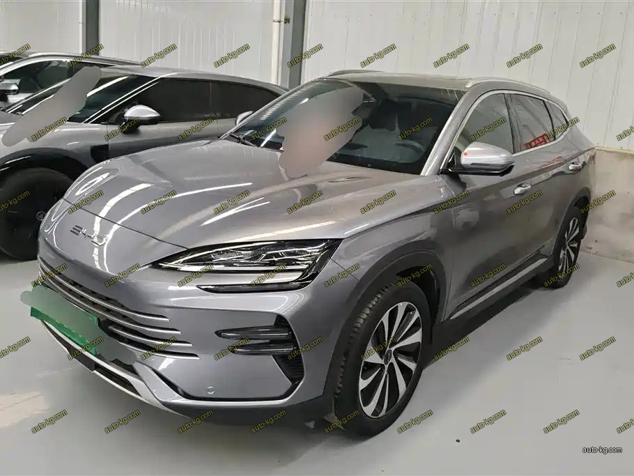 BYD PLUS New Energy 2024