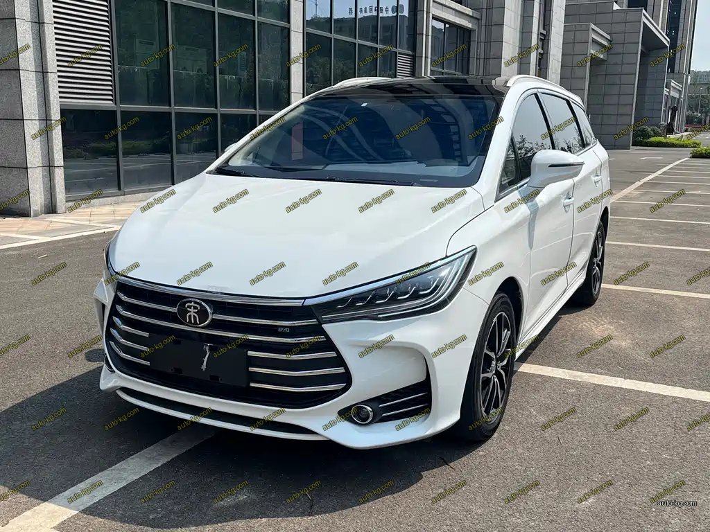 BYD MAX 2018