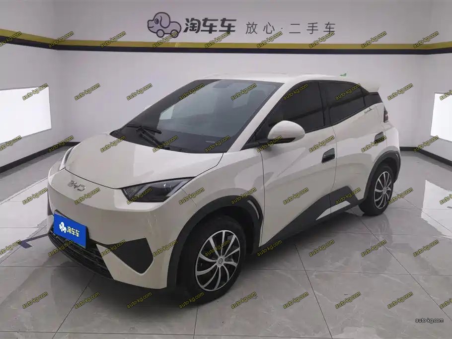 BYD Seagull 2025