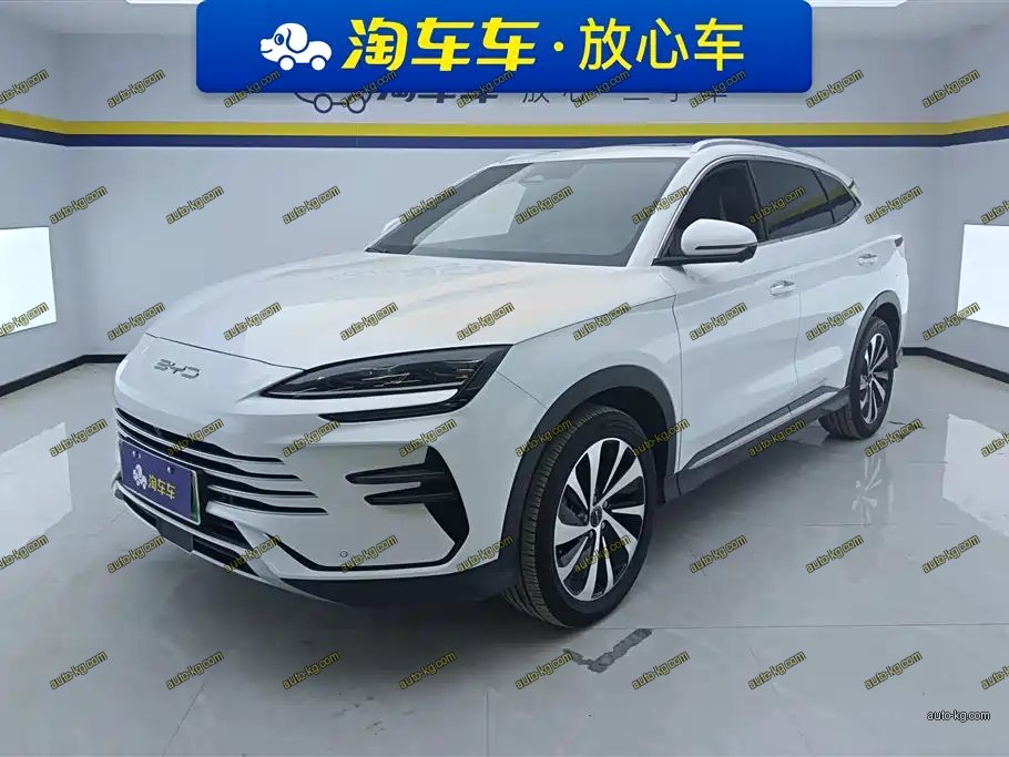 BYD PLUS New Energy 2024