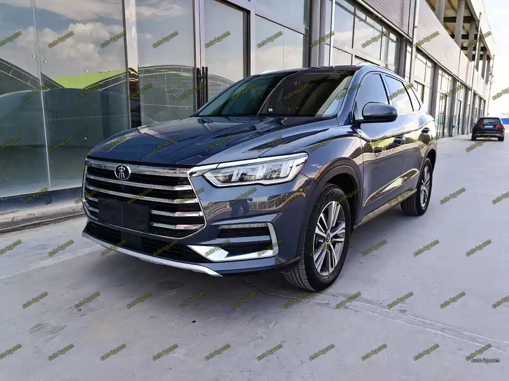 BYD Pro 2020