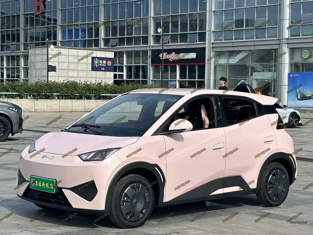 BYD Seagull 2025