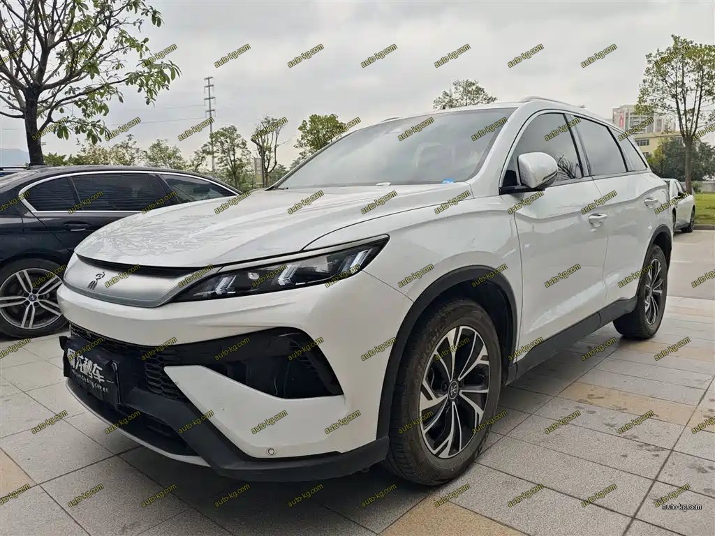 BYD Pro New Energy 2025