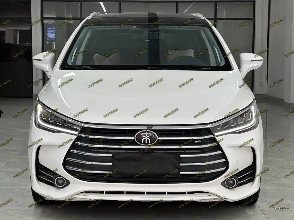 BYD MAX 2018
