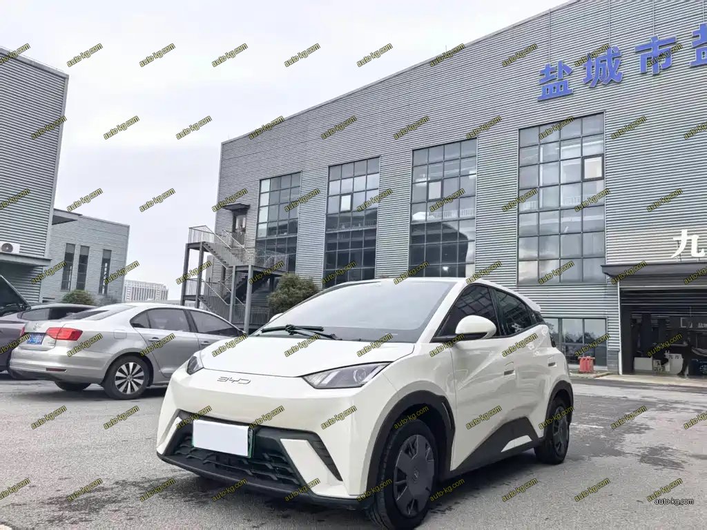 BYD Seagull 2023