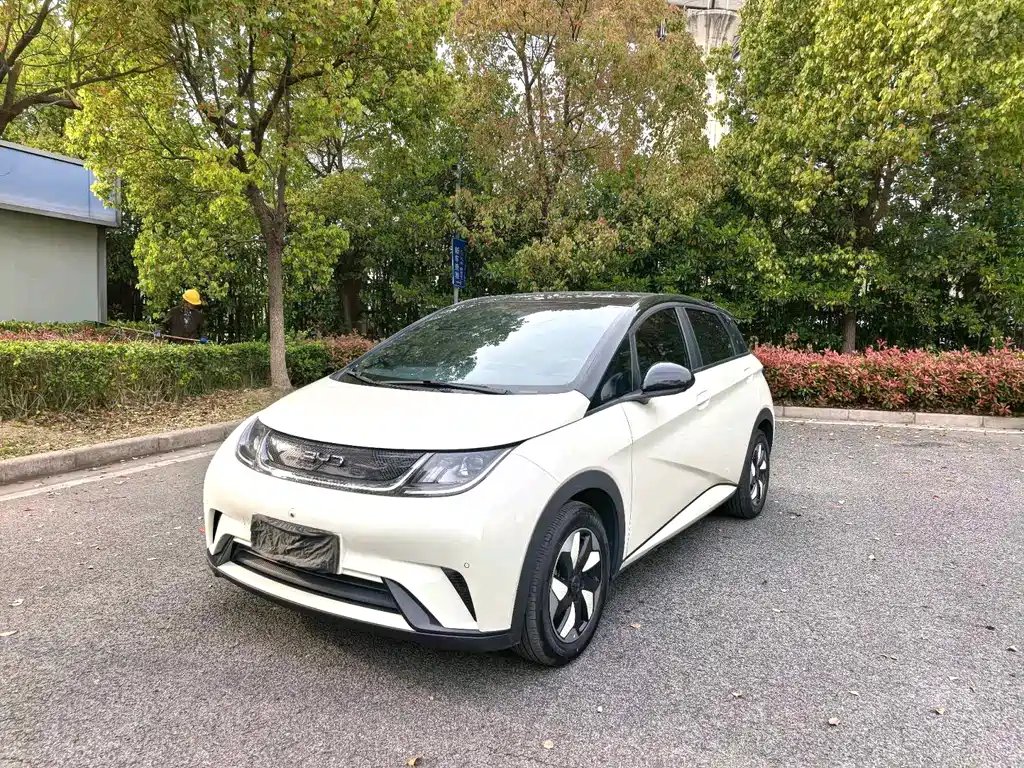 BYD Dolphin 2024