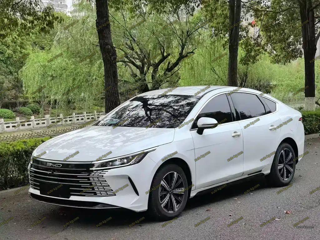 BYD Destroyer 05 2024