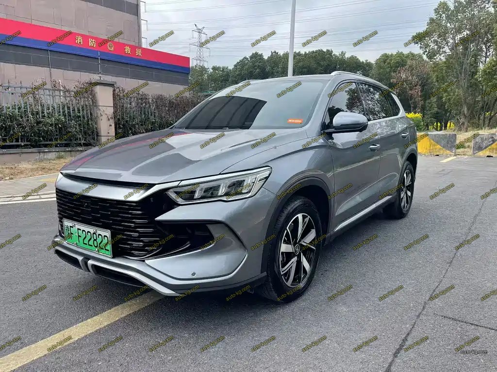BYD Pro New Energy 2025