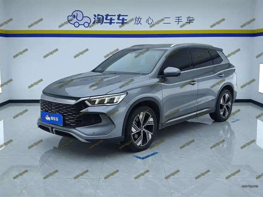 BYD Pro New Energy 2024