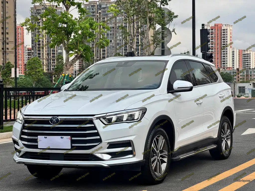 BYD Pro 2021