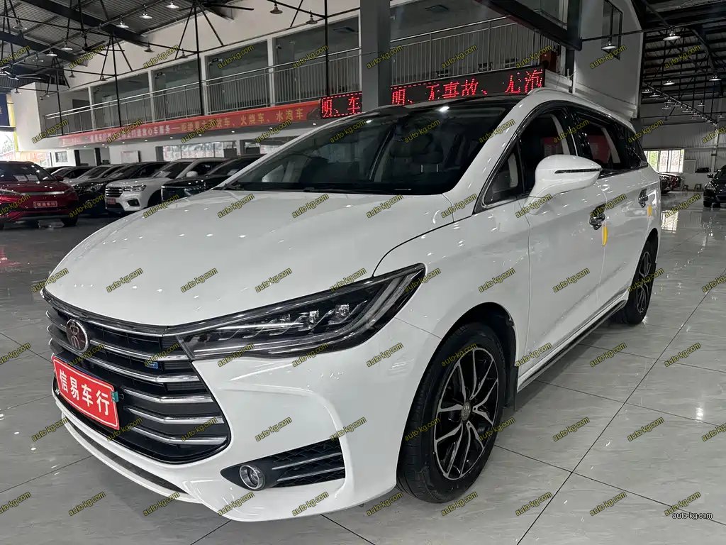 BYD MAX 2019