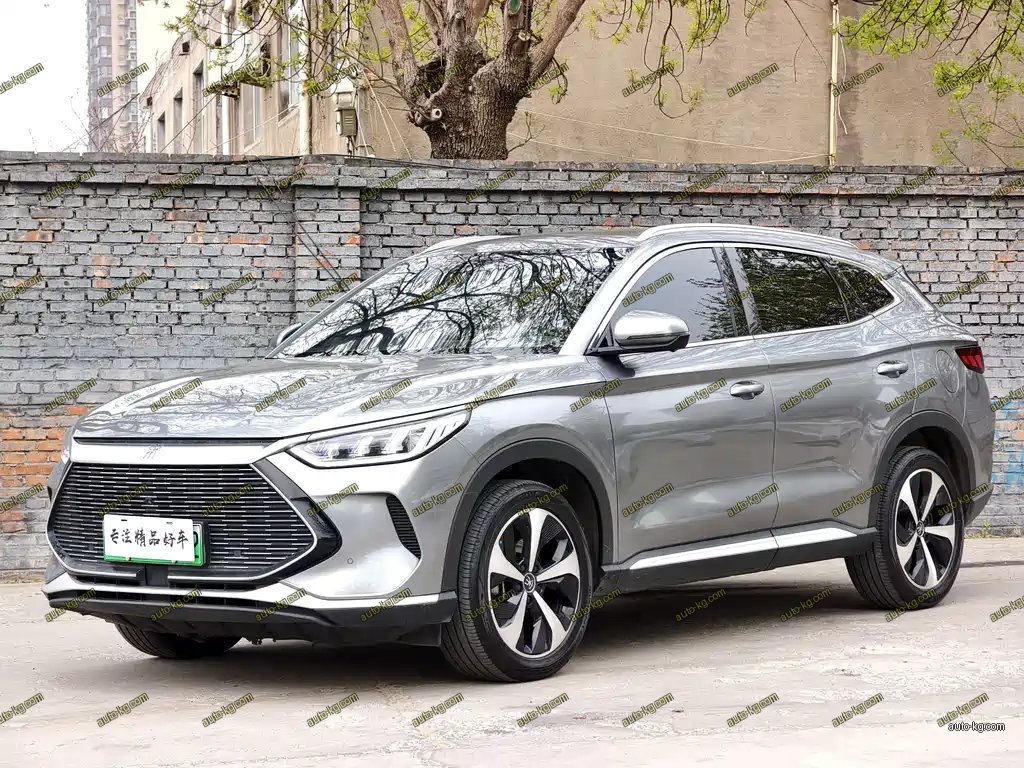 BYD PLUS New Energy 2021