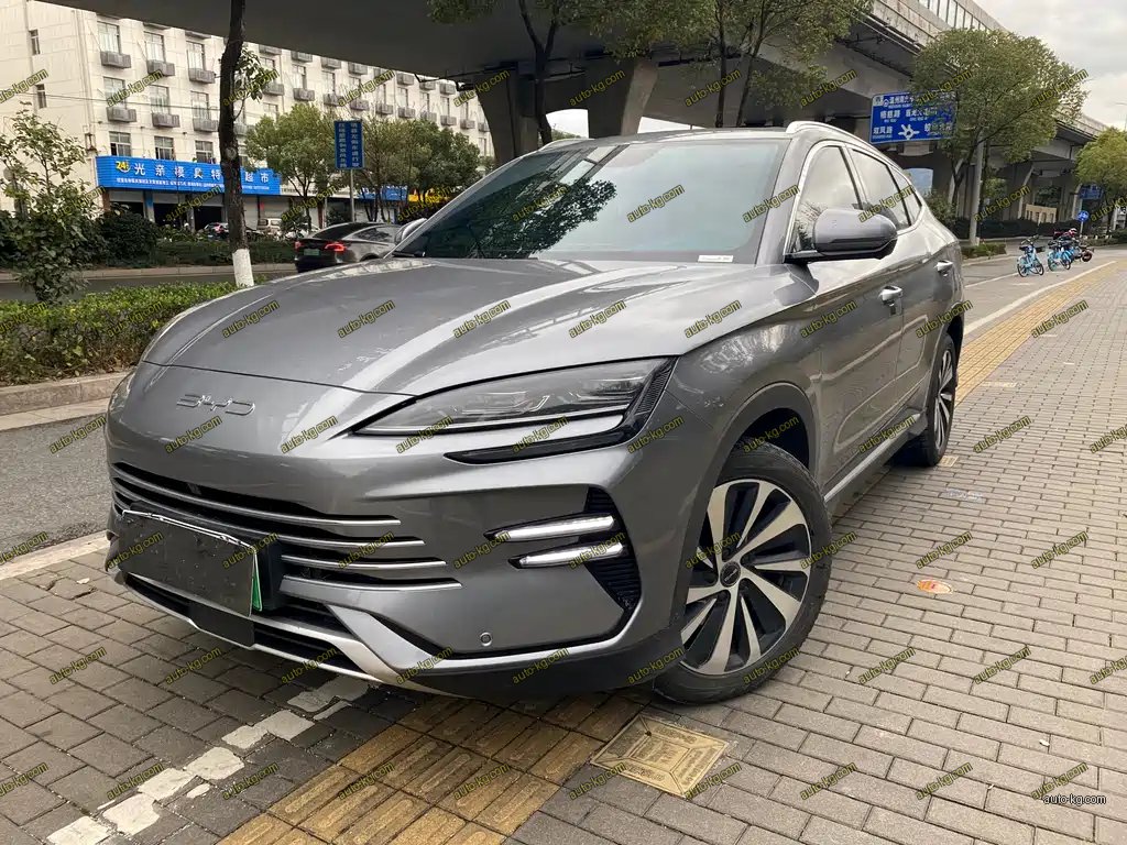 BYD PLUS New Energy 2024