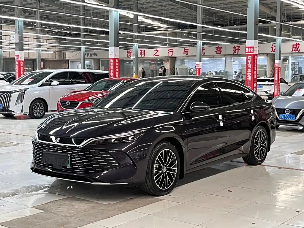 BYD Qin L 2024