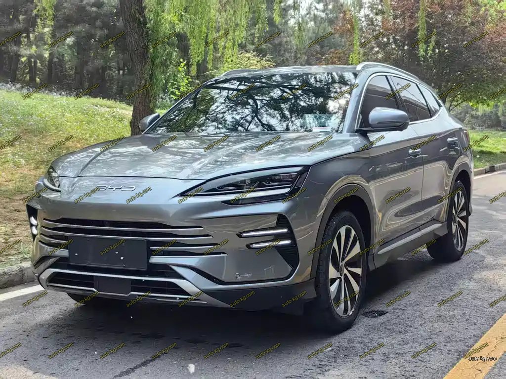 BYD PLUS New Energy 2024