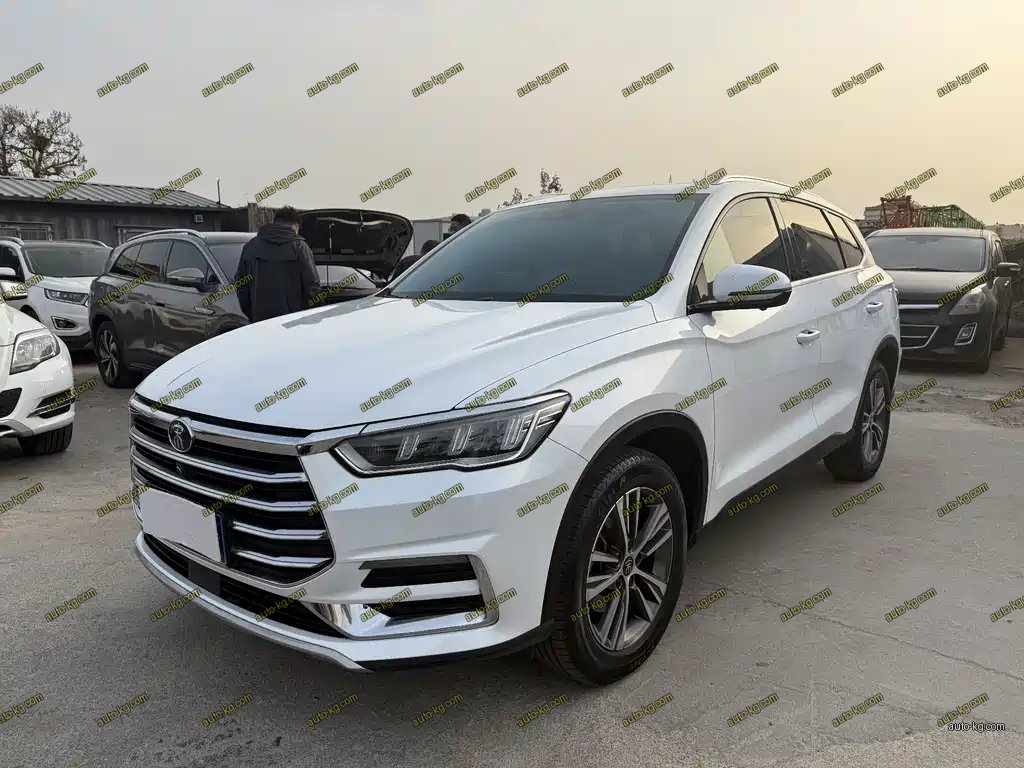 BYD Pro 2020