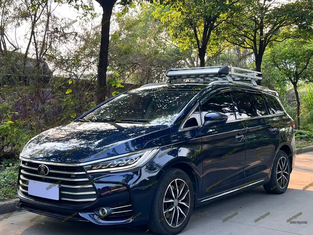 BYD MAX 2018