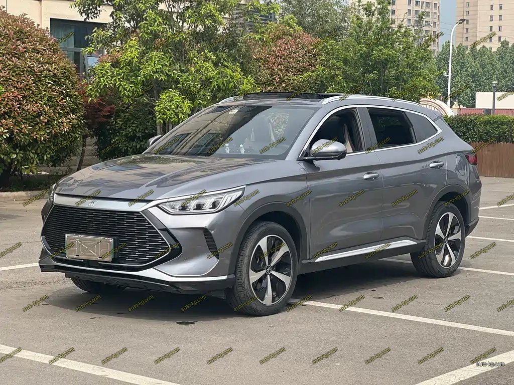 BYD PLUS New Energy 2022