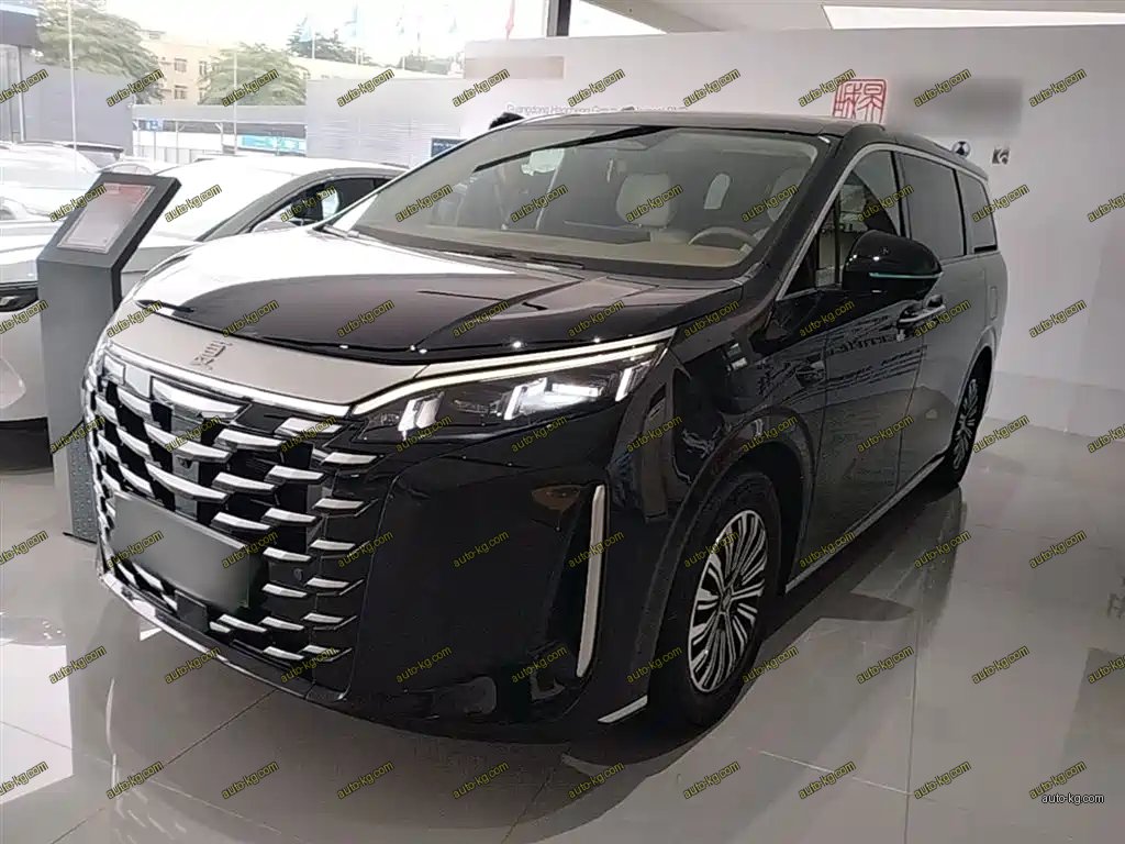 BYD Xia 2025
