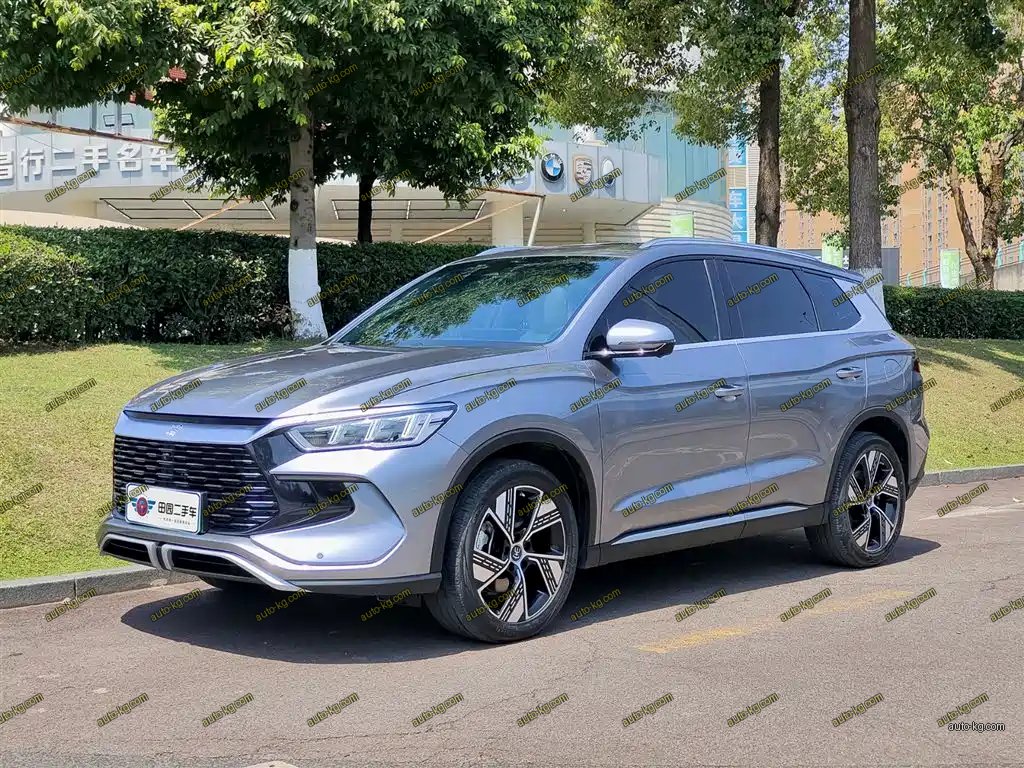 BYD Pro New Energy 2024