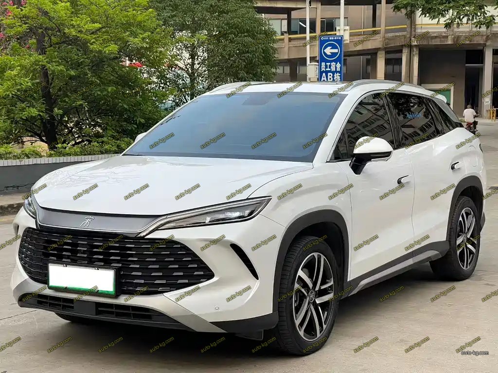 BYD L DM-i 2024