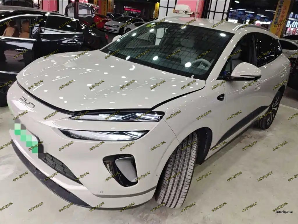 BYD 海狮06 2025