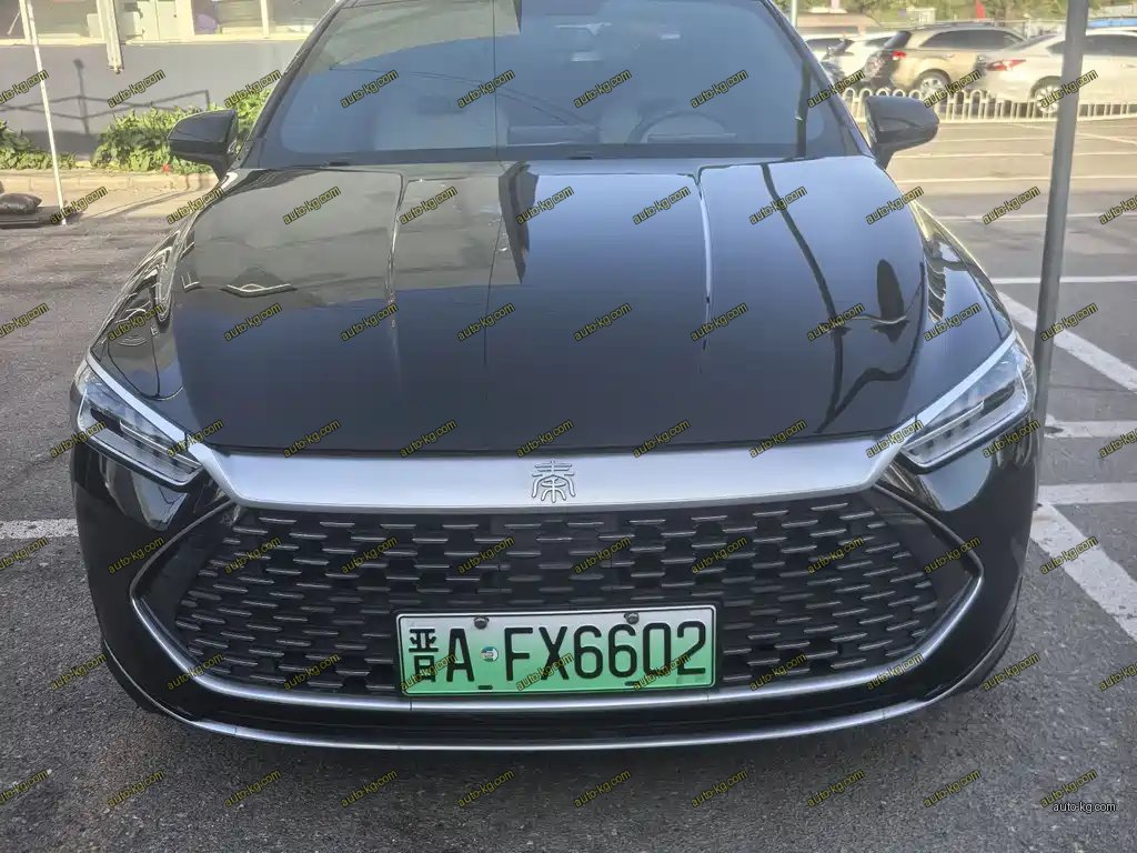 BYD Qin PLUS 2023