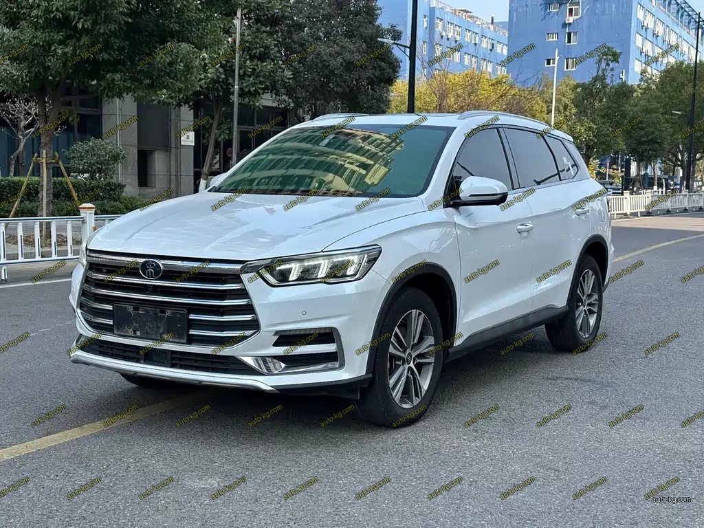 BYD Pro 2021