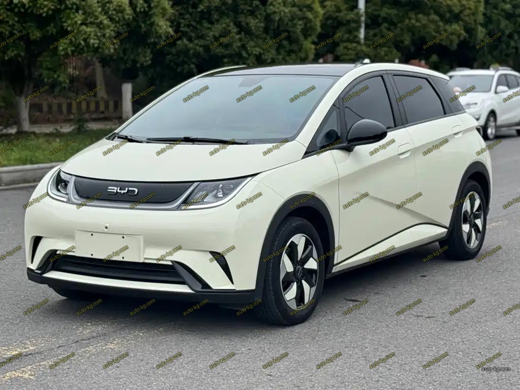 BYD Dolphin 2024