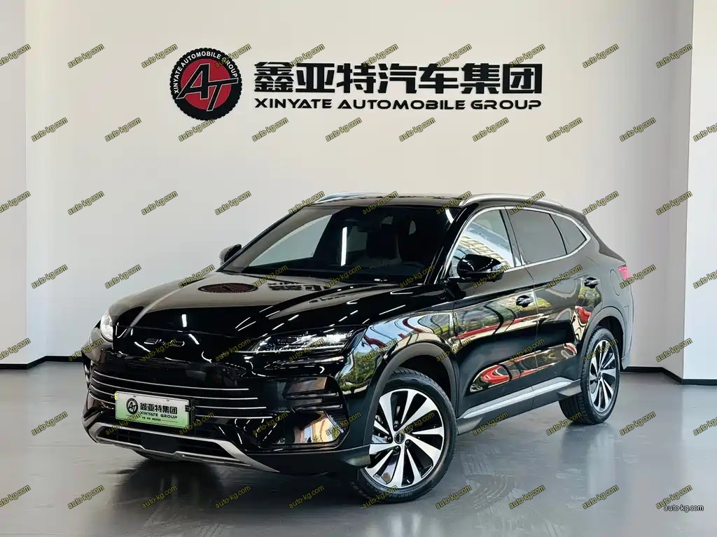 BYD PLUS New Energy 2024
