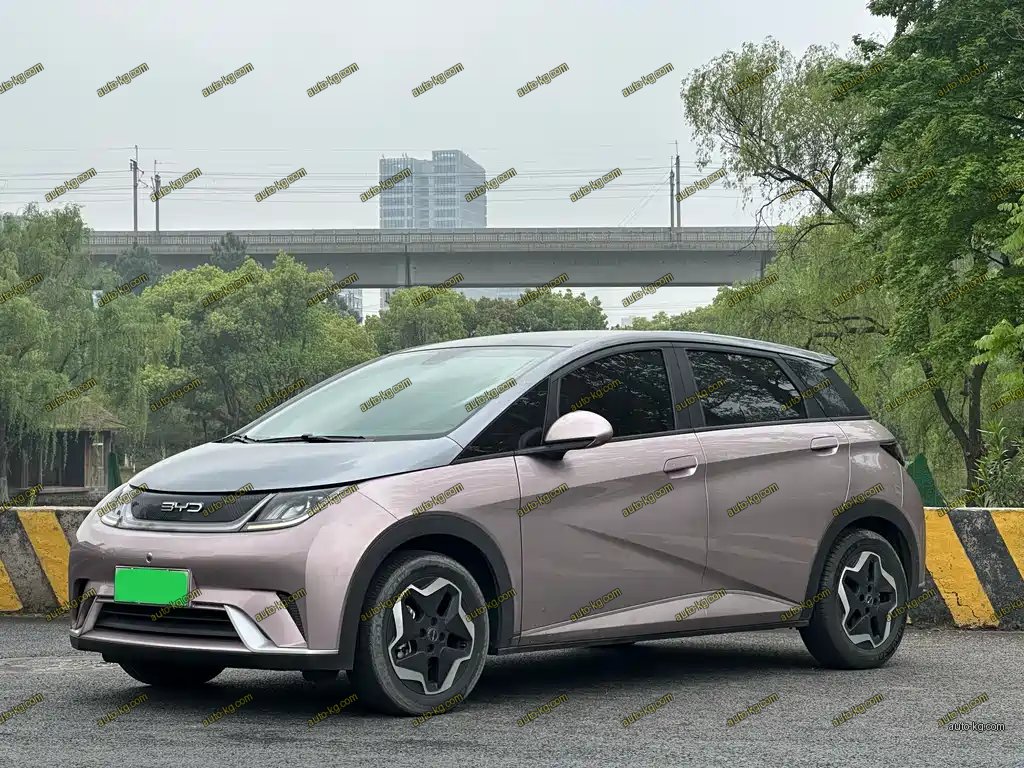 BYD Dolphin 2022