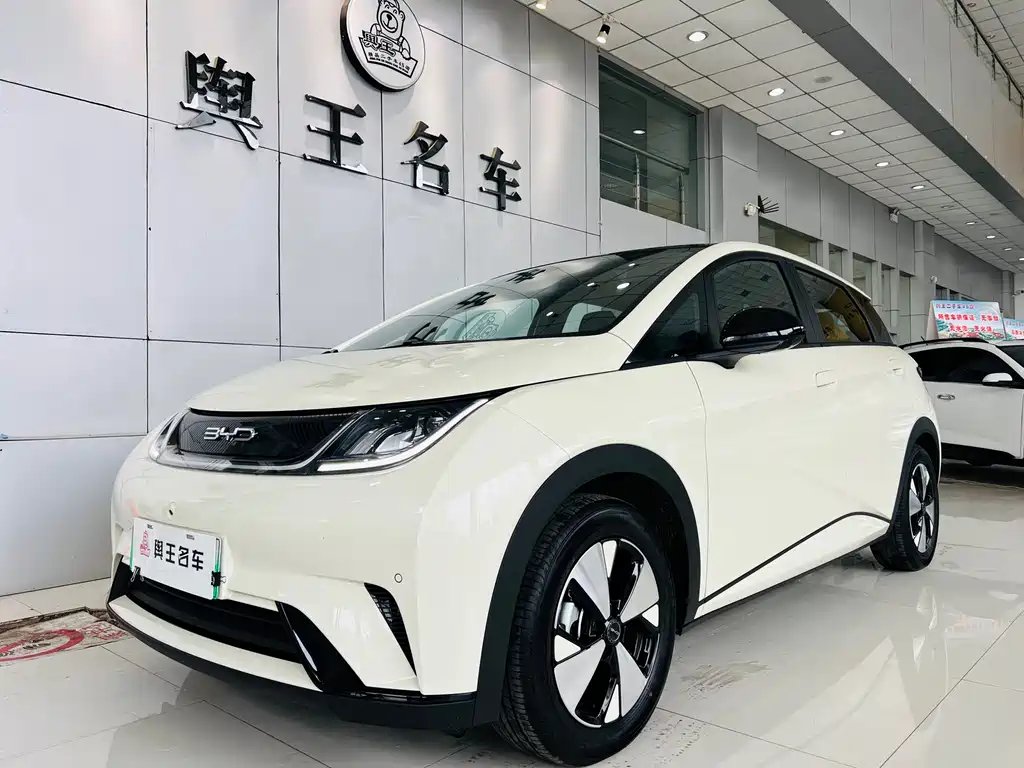BYD Dolphin 2024