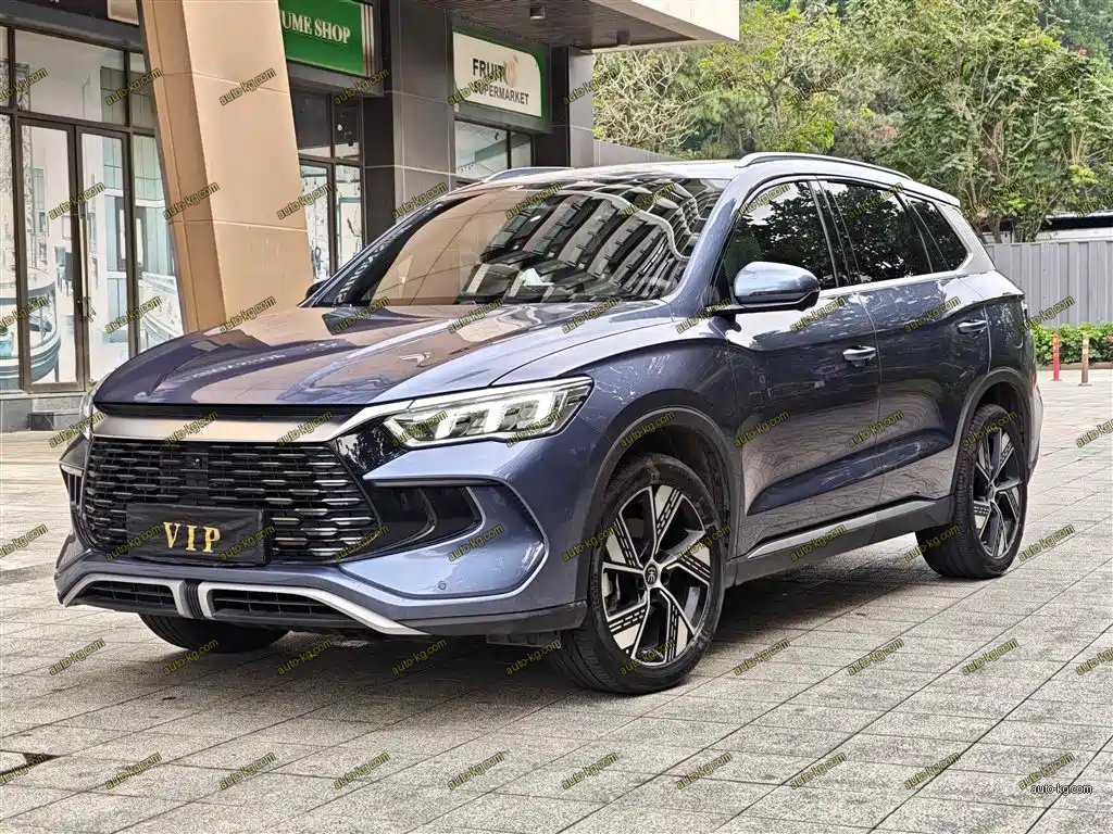 BYD Pro New Energy 2024