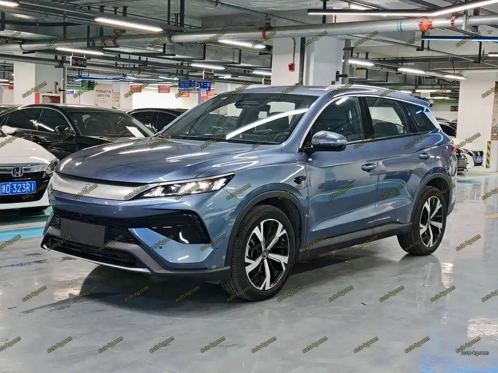 BYD Pro New Energy 2025