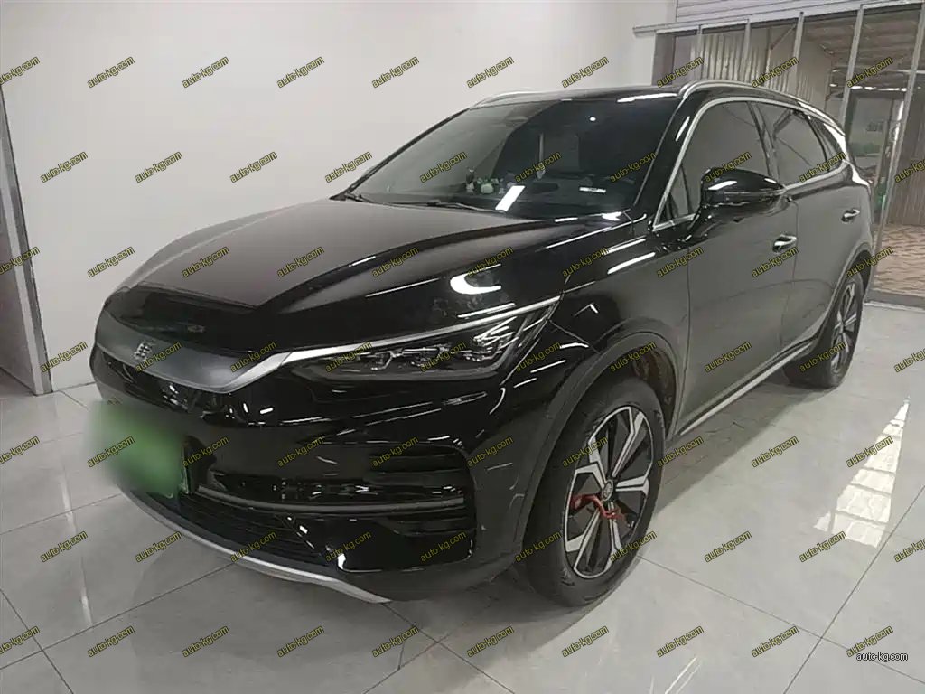 BYD Tang New Energy 2024