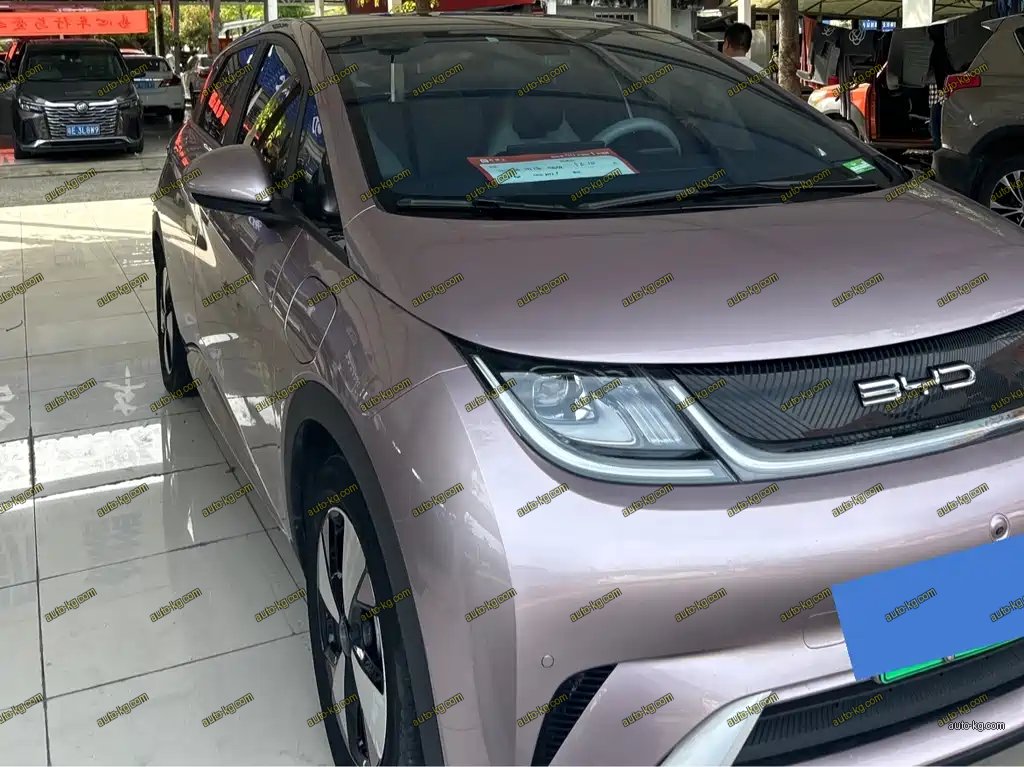 BYD Dolphin 2023