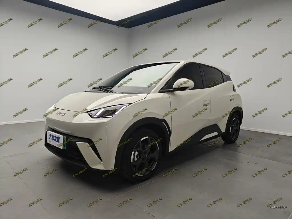BYD Seagull 2025