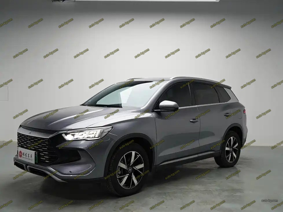 BYD Pro New Energy 2024