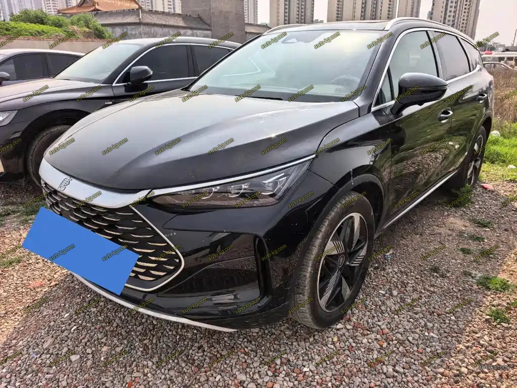 BYD Tang New Energy 2024